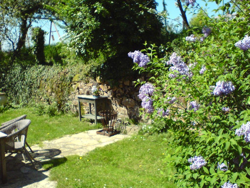 Les Champys Casa de hóspedes Saint-Péreuse Exterior foto